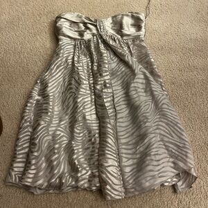 Express Silver Satin Dress Size 2